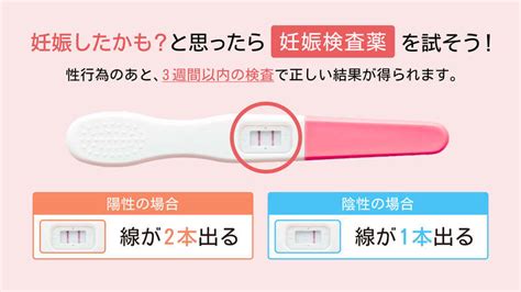 休薬期間 中だし|ピル服用中に妊娠した原因は？中出しの妊娠確率やよ。